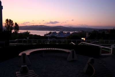 picture-205-400