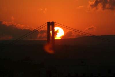 picture-217-400