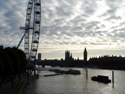 picture-491-400