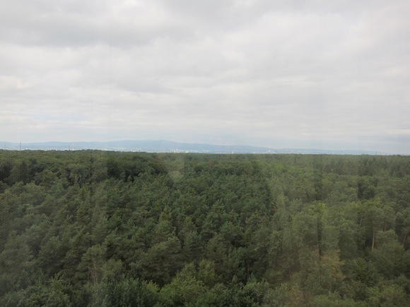 Hilton_Frankfurt_Airport19