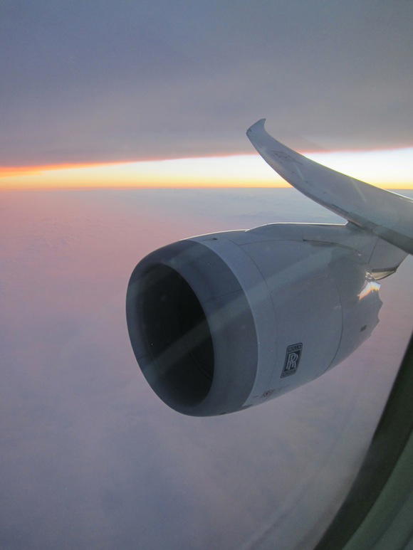 ANA_787_Dreamliner51