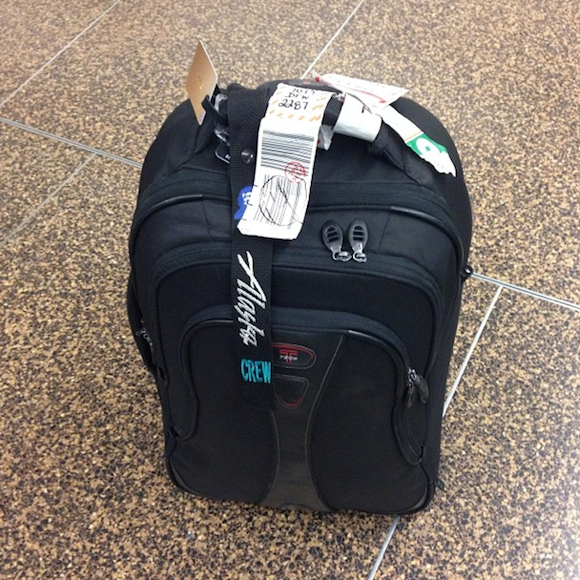 Gate-Checked-Bag