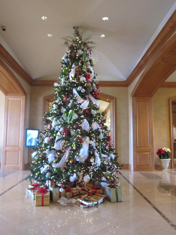 Park-Hyatt-Aviara-Resort-12