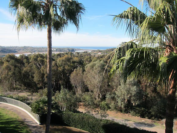 Park-Hyatt-Aviara-Resort-36