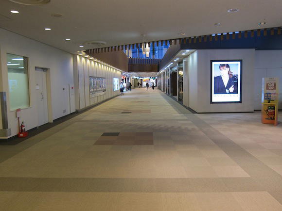 Korean-Air-Lounge-Tokyo-Narita-09