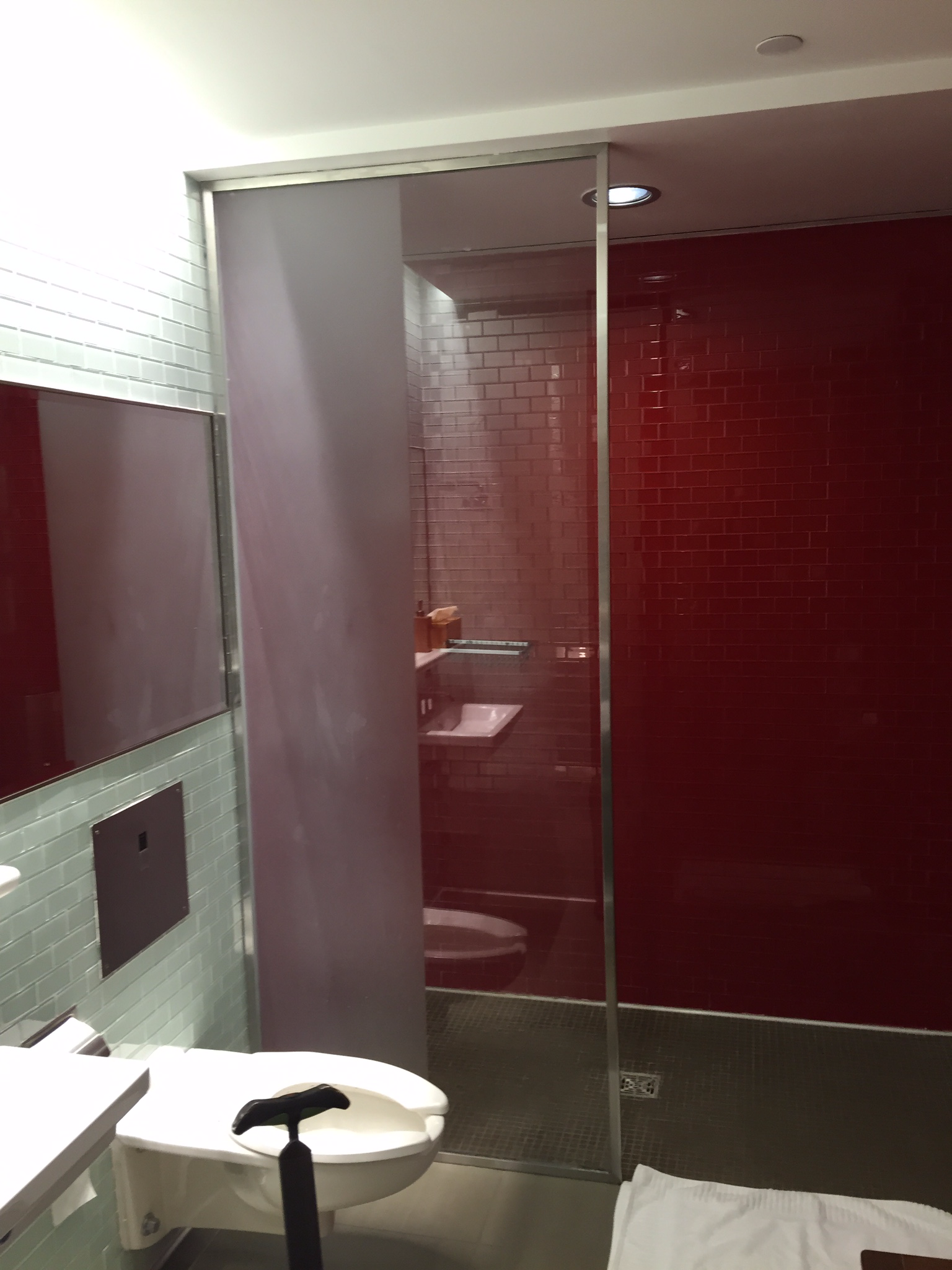 Delta SkyClub shower room