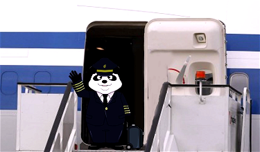 Captain Panda Spends 8 Hours In Beijing