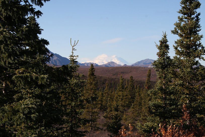 Mt. McKinely, highest point in North America.