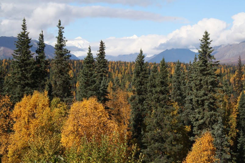 Mt. McKinley is shrouded in clouds 70% of the time, though the chances of a clear day are better in September.