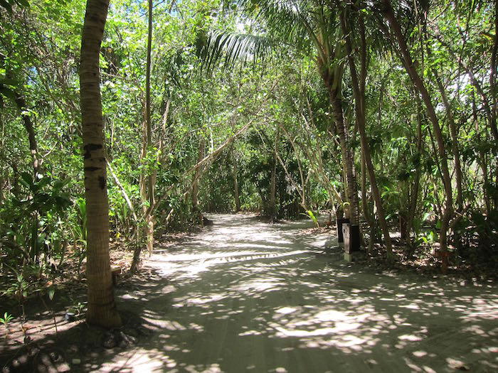 Park-Hyatt-Maldives-Park-Villa-02
