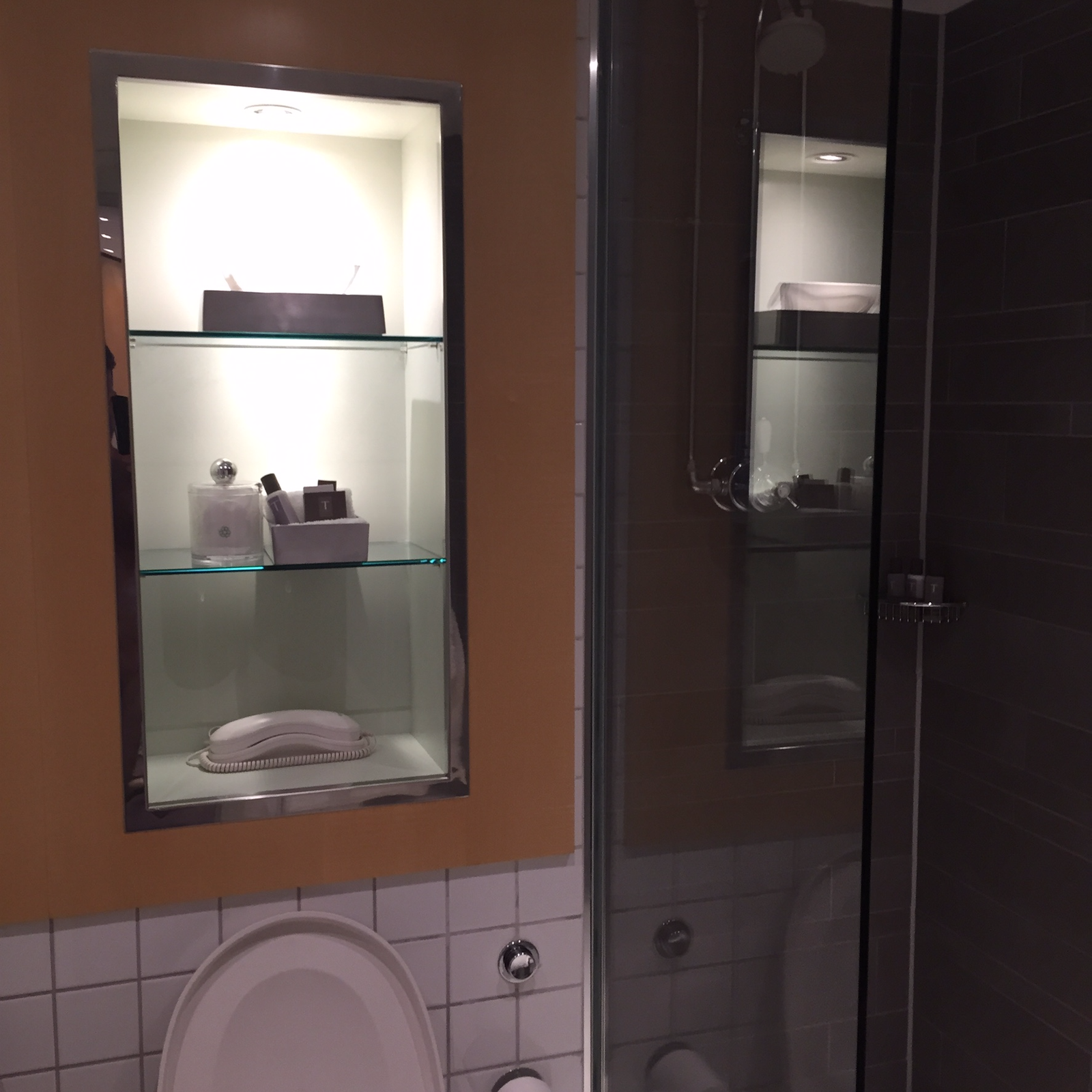 Andaz King bathroom