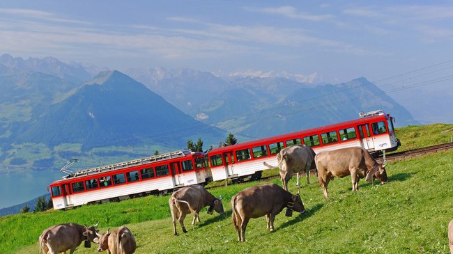 Mount-Rigi-Train