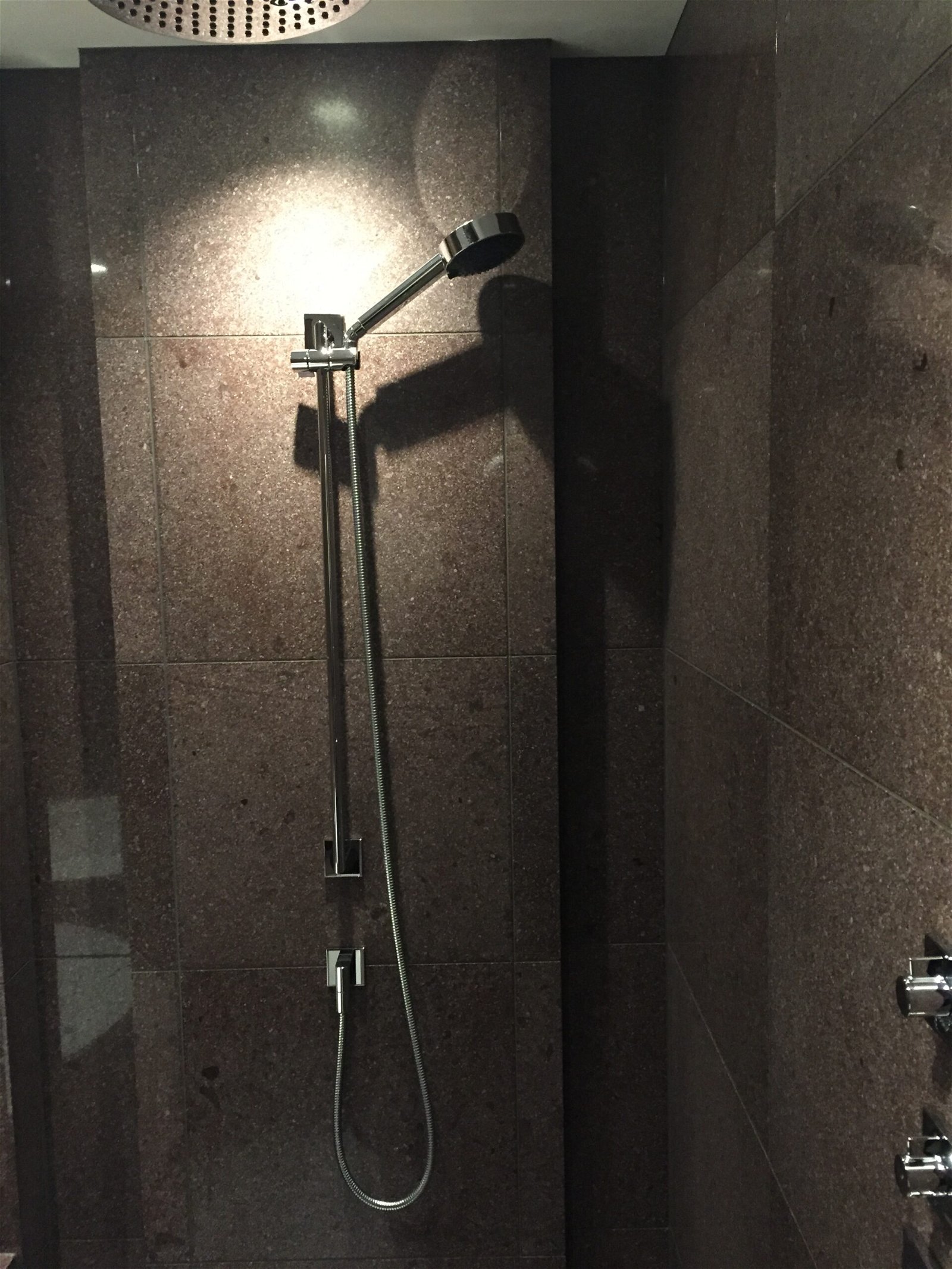 Andaz Twin shower