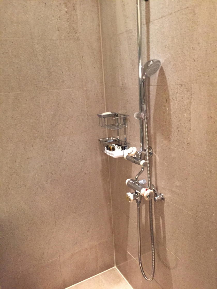 Park Hyatt Tokyo Park Twin bathroom shower