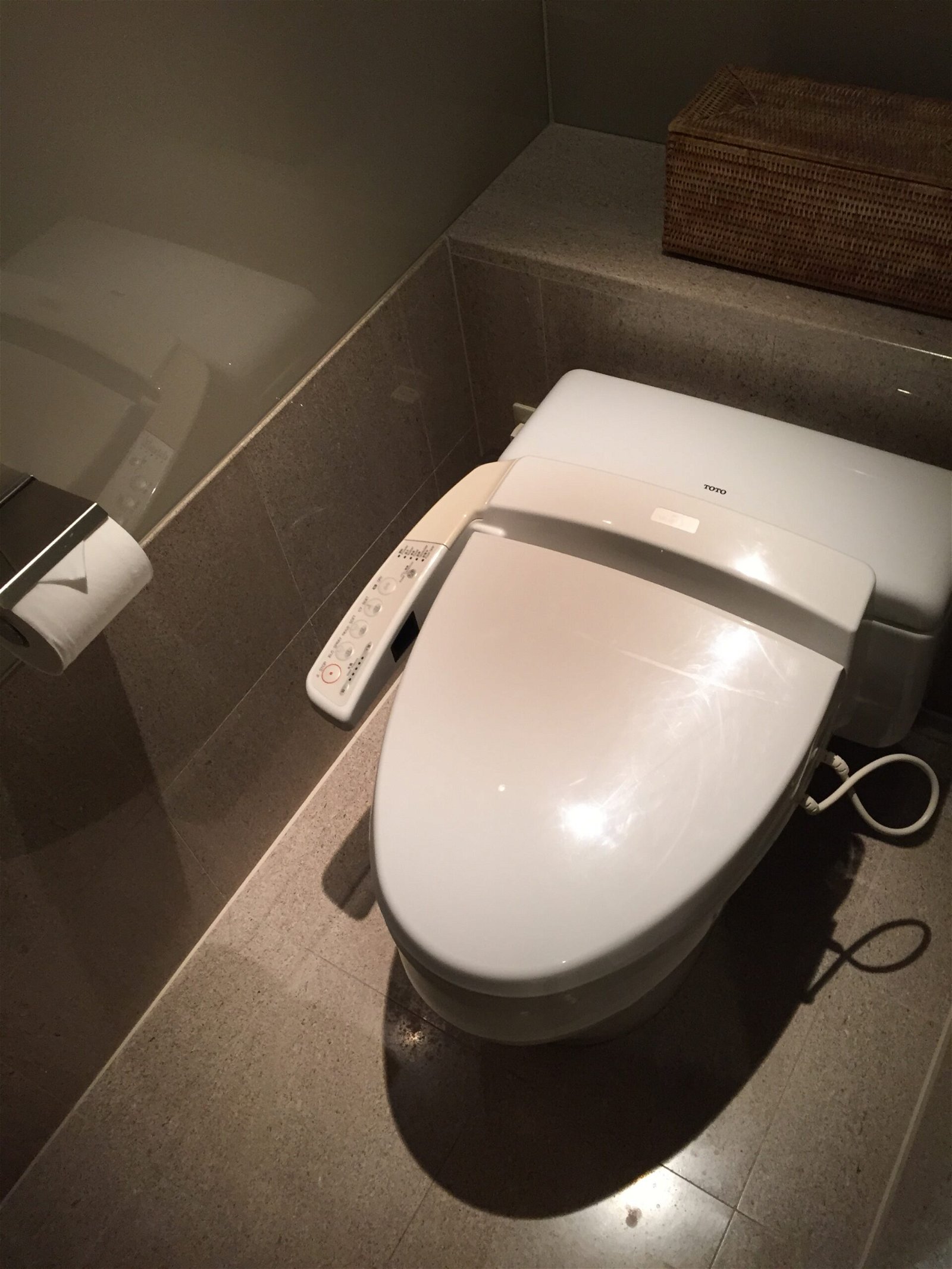 Park Hyatt Tokyo Park Twin toilet