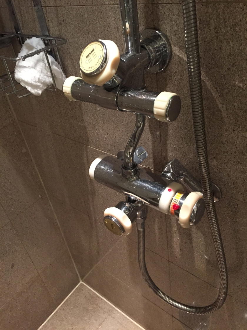 Park Hyatt Tokyo Park Twin bathroom shower