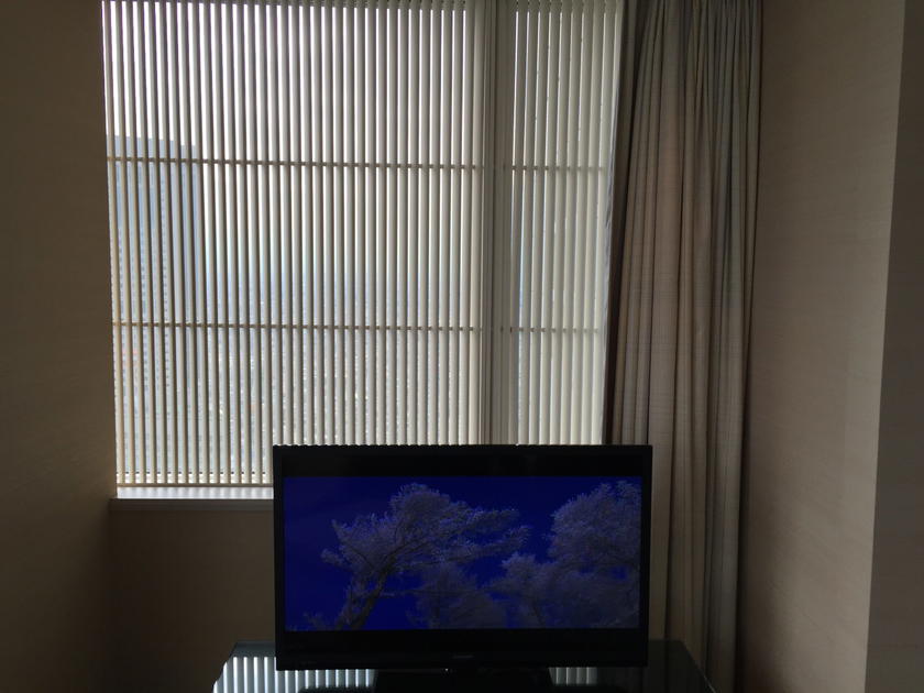Park Hyatt Tokyo Park Twin television area