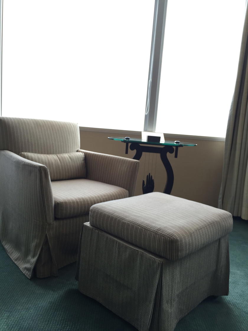Park Hyatt Park Twin seating area