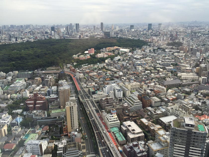 Park Hyatt Tokyo Park Twin view during the day