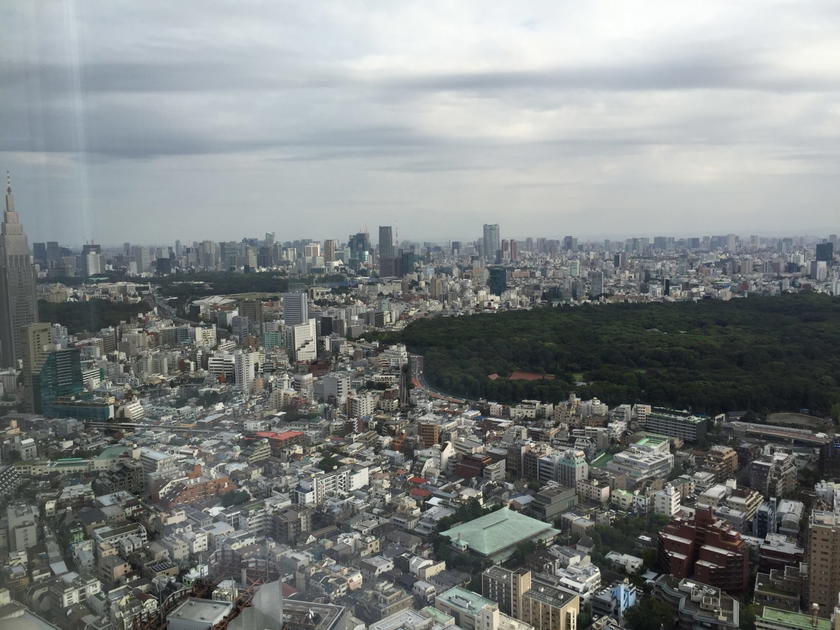 Park Hyatt Tokyo Park Twin view during the day