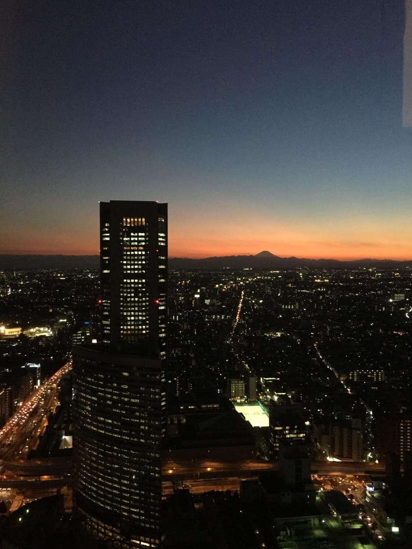 Park Hyatt Tokyo Mount Fuji view