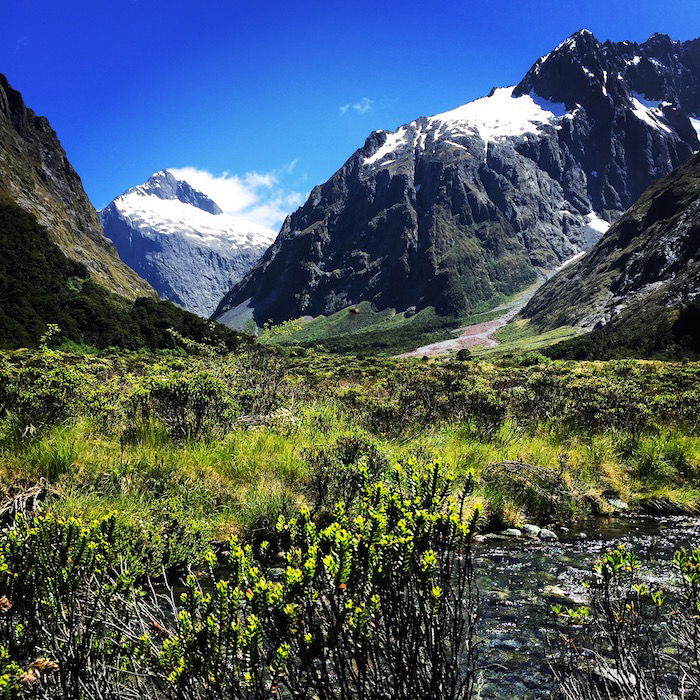 Fiordland-National-Park