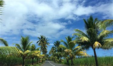 Should You Visit Mauritius? Here Are My Impressions