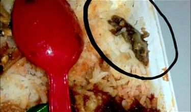 YUCK: Lizard Found In AirAsia Inflight Meal