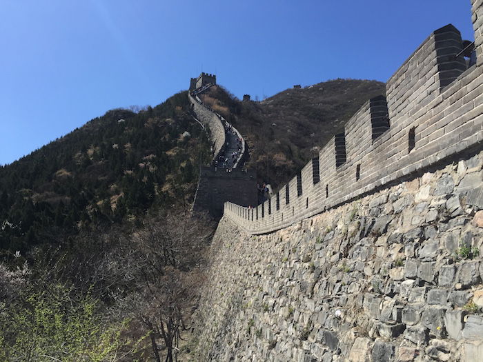 Great-Wall-5