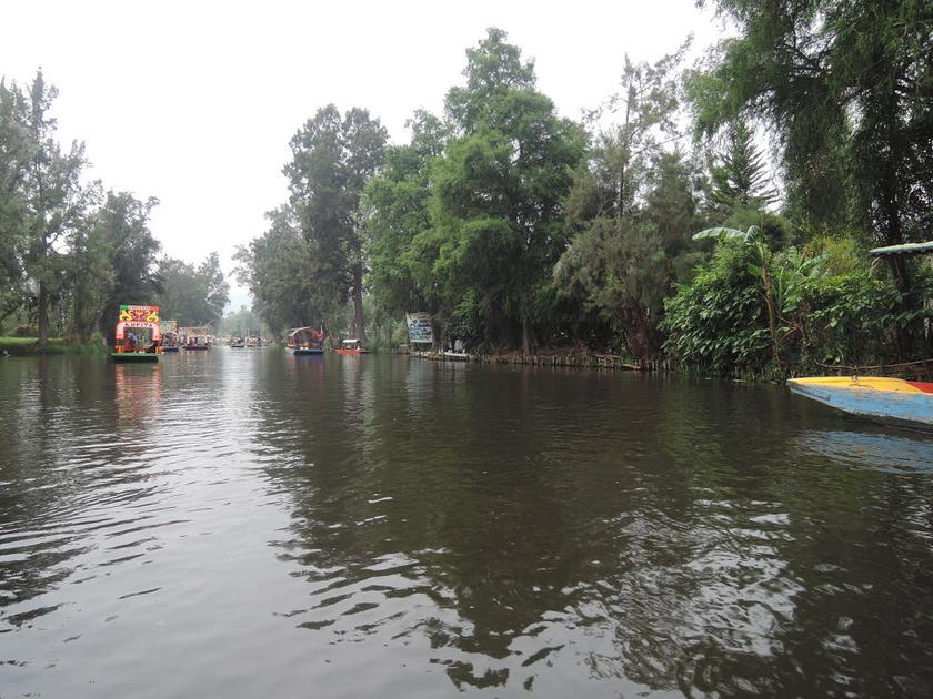 Xochimilco-21