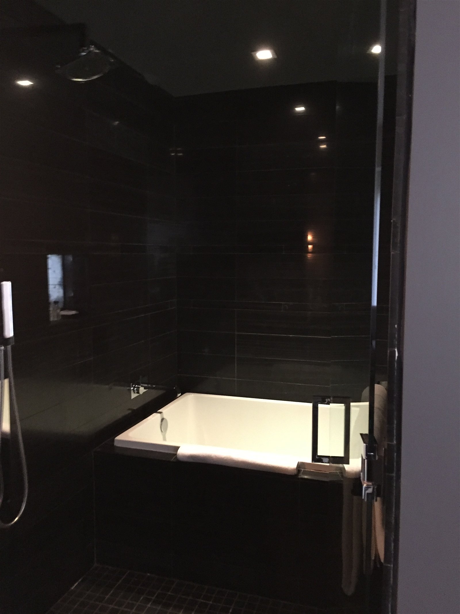 Andaz Suite shower/tub room
