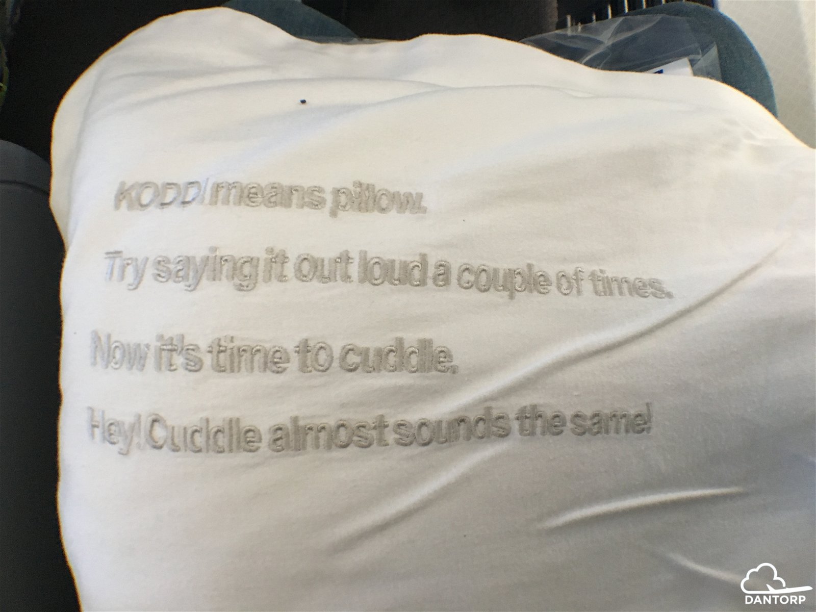 icelandair pillow