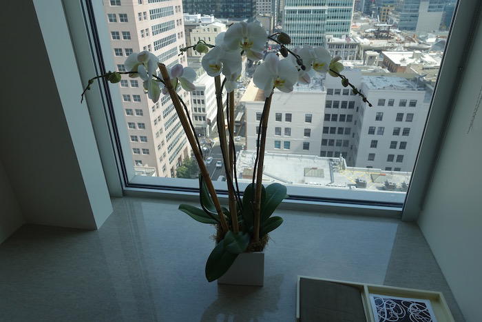 St-Regis-San-Francisco - 19