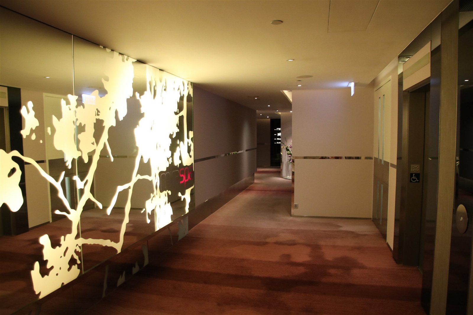 The corridor on the floor with the spa.
