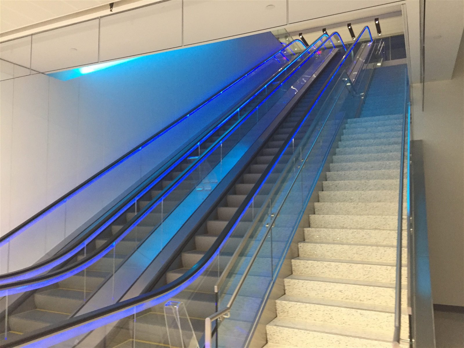 Escalators to main level of United Club LAX