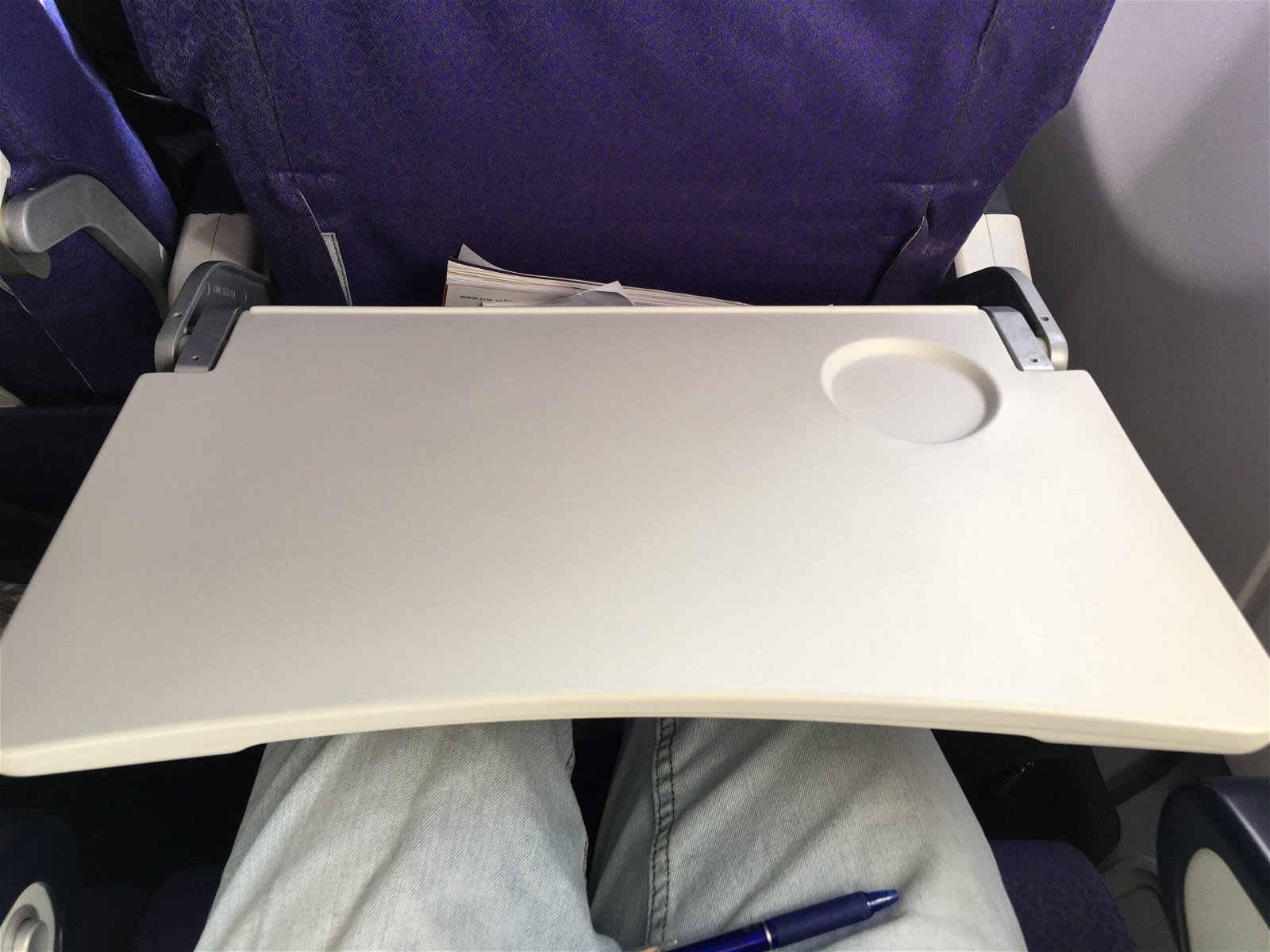The tray table.