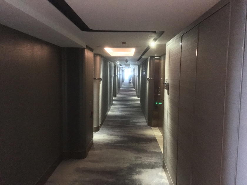 Roal Plaza Hotel corridors