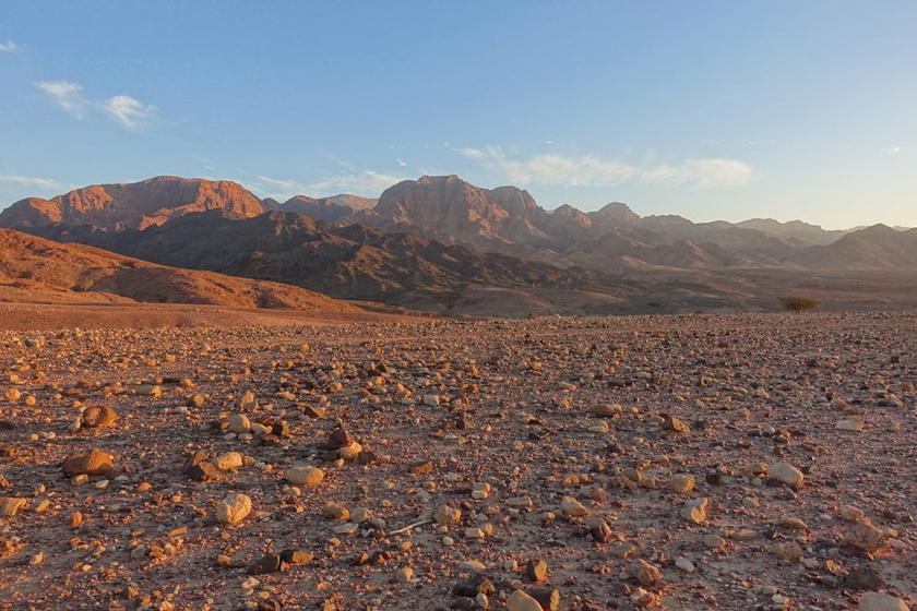 Dana-Biosphere-Reserve-27