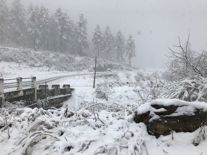 Bhutan-Snow