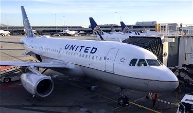 United’s Very Bad Week: Scorpion Falls From Overhead Bin And Stings Passenger
