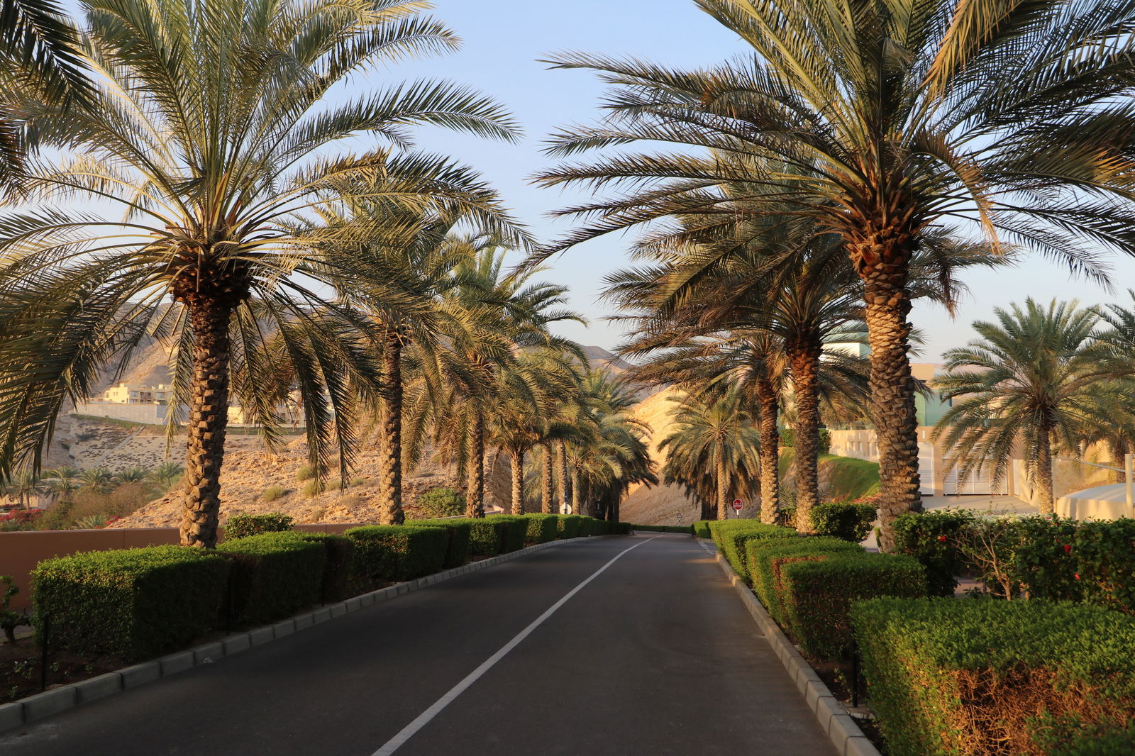 The driveway leading to the hotel.