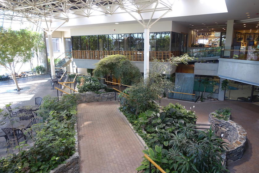 Sheraton-St-Johns-Newfoundland - 50