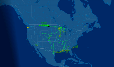 Amazing: Boeing “Drew” A 787 In The Sky Overnight