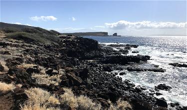 Impressions From My First “Real” Vacation In Hawaii