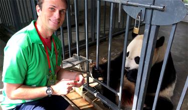 Our Amazing “Pandadventure” At The Dujiangyan Panda Base