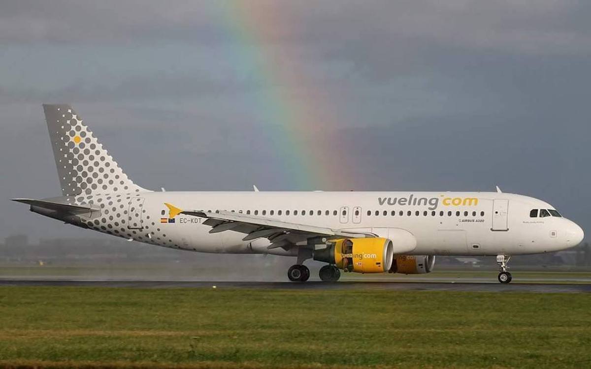 Vueling baggage discount