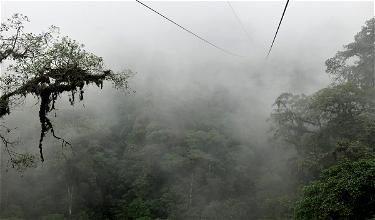 Introduction: Staying In A Cloud (Forest)