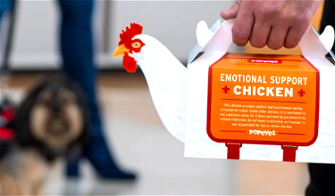 Popeyes Sold “Emotional Support Chicken” At Philadelphia Airport Yesterday