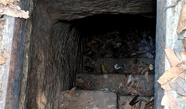 Cu Chi Tunnels: What You Need To Know About Visiting These Vietnam War Sites