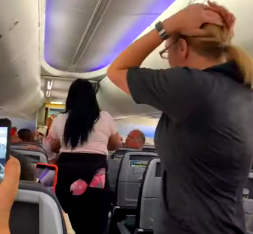 Insane Video: American Passenger Assaults Partner - One Mile at a Time